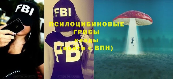 круглые Пестово