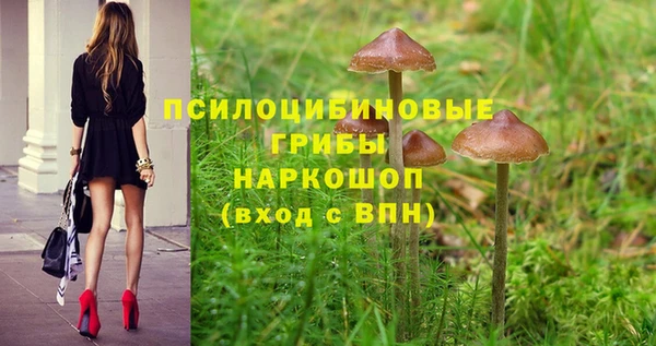 круглые Пестово
