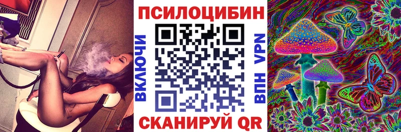 Псилоцибиновые грибы Psilocybine cubensis  Чебаркуль 